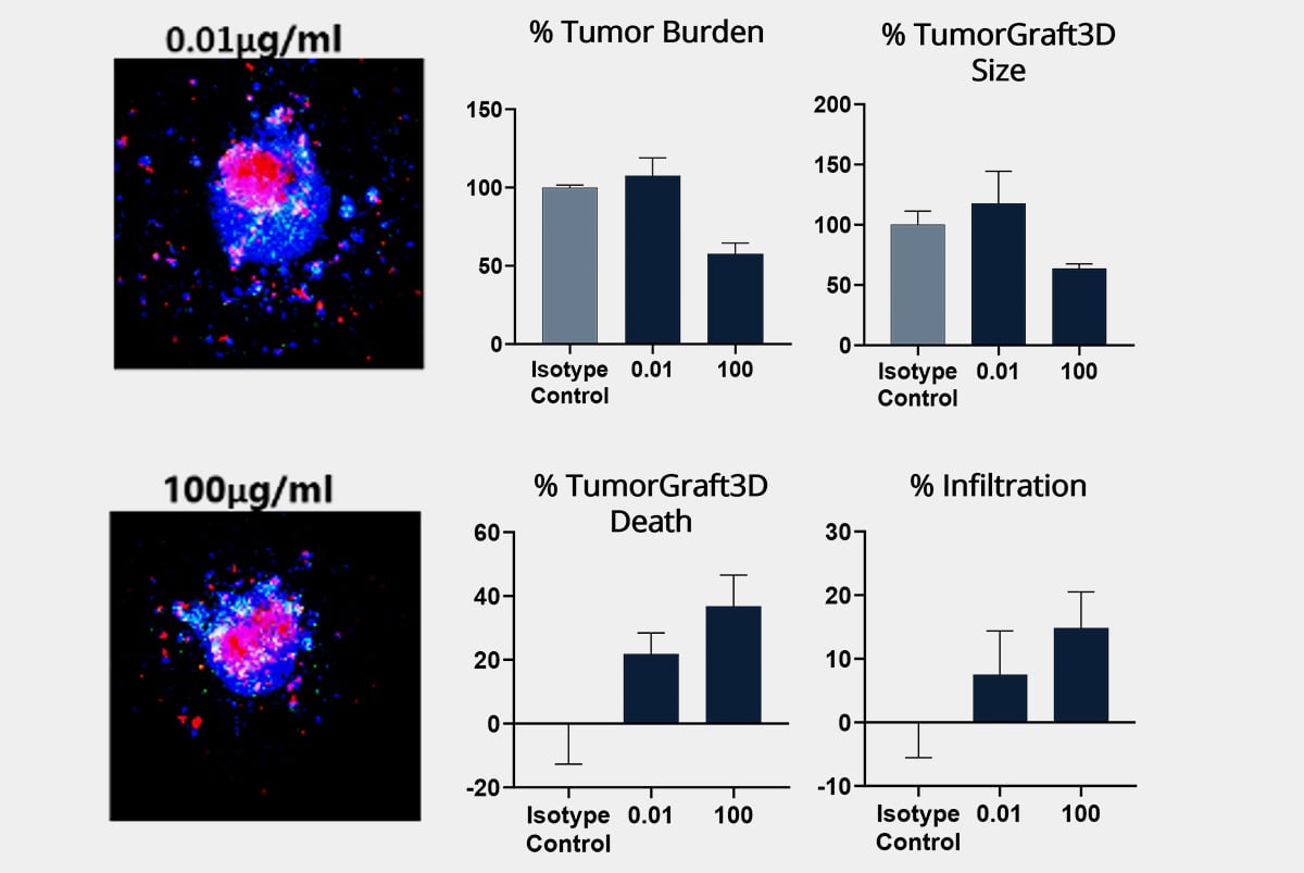 Confocal imaging results from a Immuno-Oncology co-culture assay.