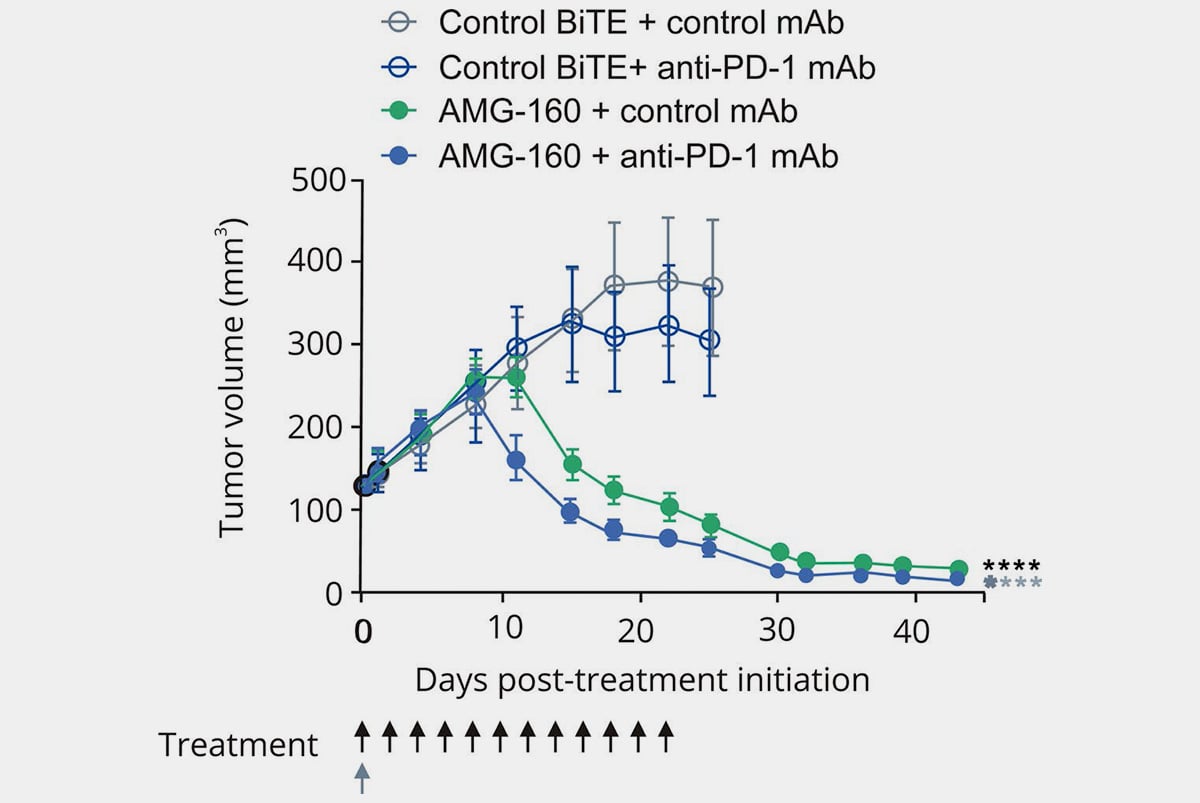 Results from an humanized study in response to Amgen's BiTE therapy.