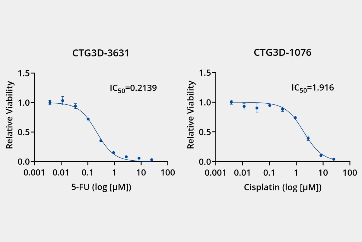 2 Champions TumorGraft3D models Cytotoxicity responses to standard of care.