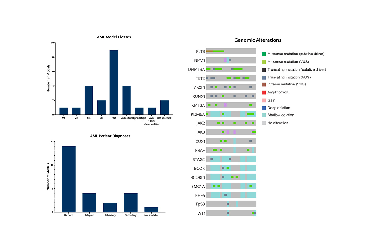 AML Model Characterization Figure_Jun23_resized (2)