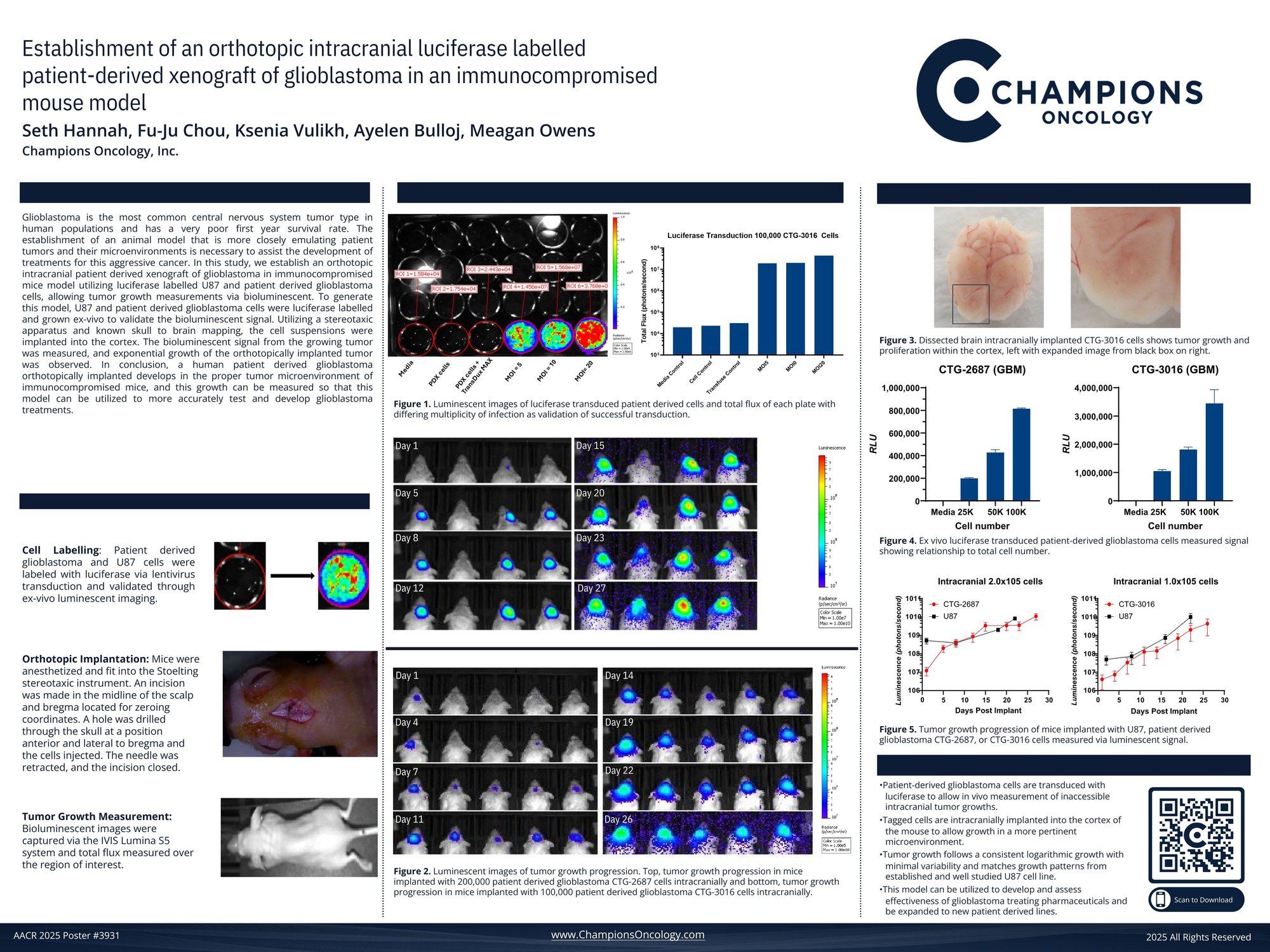 Champions Oncology_AACR2025 Poster 3931_Hannah_FINAL_06Apr2025.pdf