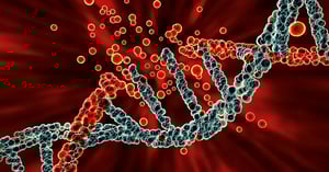 DNA Damage-1