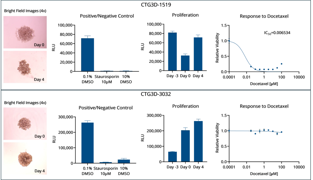 gastric cancer drug response data gastric cancer drug response data