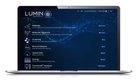 Lumin-laptop-1