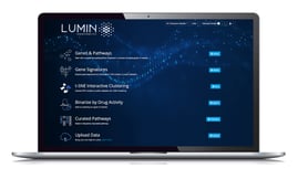 Lumin-on-Laptop-2
