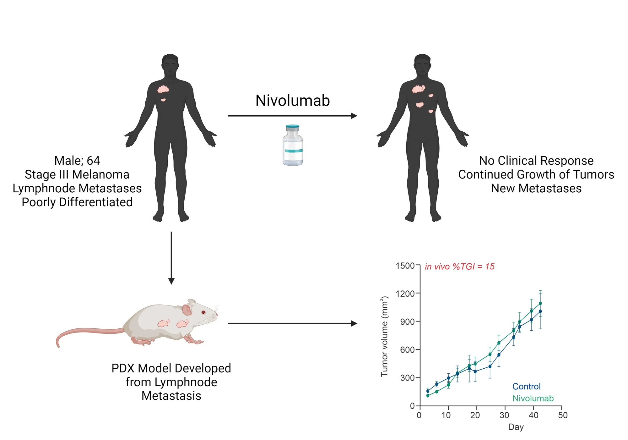 Melanoma In Vivo - Clinical Correlation 1 Melanoma In Vivo - Clinical Correlation 1