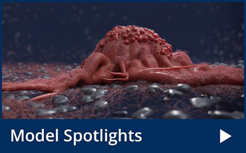 Model Spotlightv2