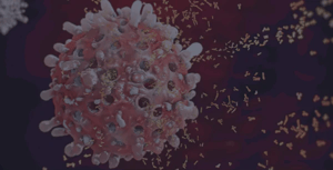 flow_cytometry-complex_b_cell_immunophenotyping_panel
