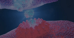 flow_cytometry-complex_effector_cytolytic_panel