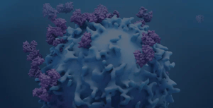 flow_cytometry-complex_immunophenotyping_panel_I
