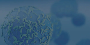 flow_cytometry-complex_immunophenotyping_panel_II