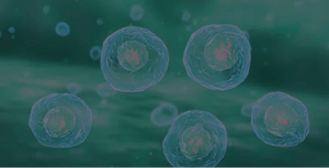 flow_cytometry-complex_macrophage_immunophenotyping_panel
