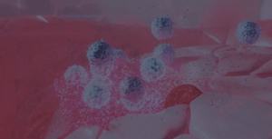 flow_cytometry-complex_nk_cell_immunophenotyping_panel