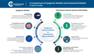 infographic-a_comparison_of_syngeneic_and_humanized_models_in_oncology_research