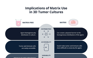 infographic-implications_of_matrix_use_in_3D_tumor_cultures