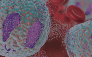 pdx-model-cohort_b-cell-acute-lymphoblastic-leukemia_sq