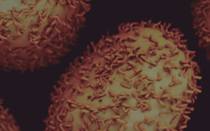 pdx-model-cohort_colorectal_sq
