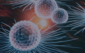 pdx-model-cohort_sarcoma_sq