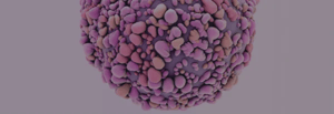 research-platform_autologous-aml
