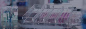 research-platform_histology-and-ihc
