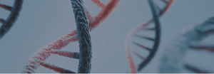 research-platform_next-generation-sequencing