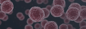 research-platform_tumorgraft3d