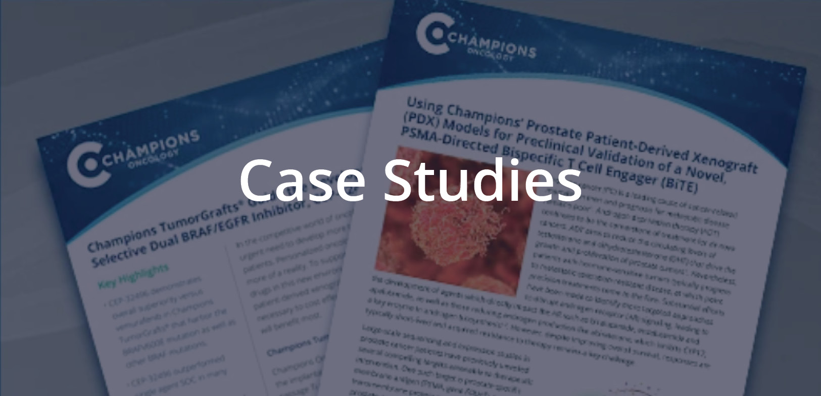 Case Studies