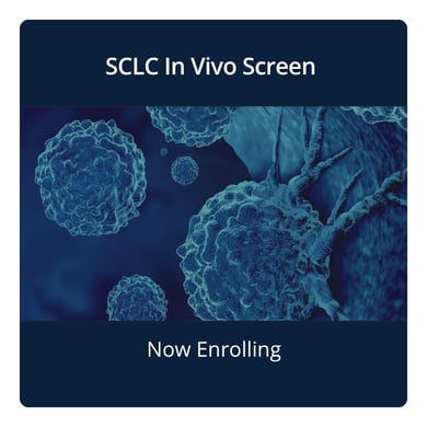 SCLC Screen Enrollment Page - May 2026