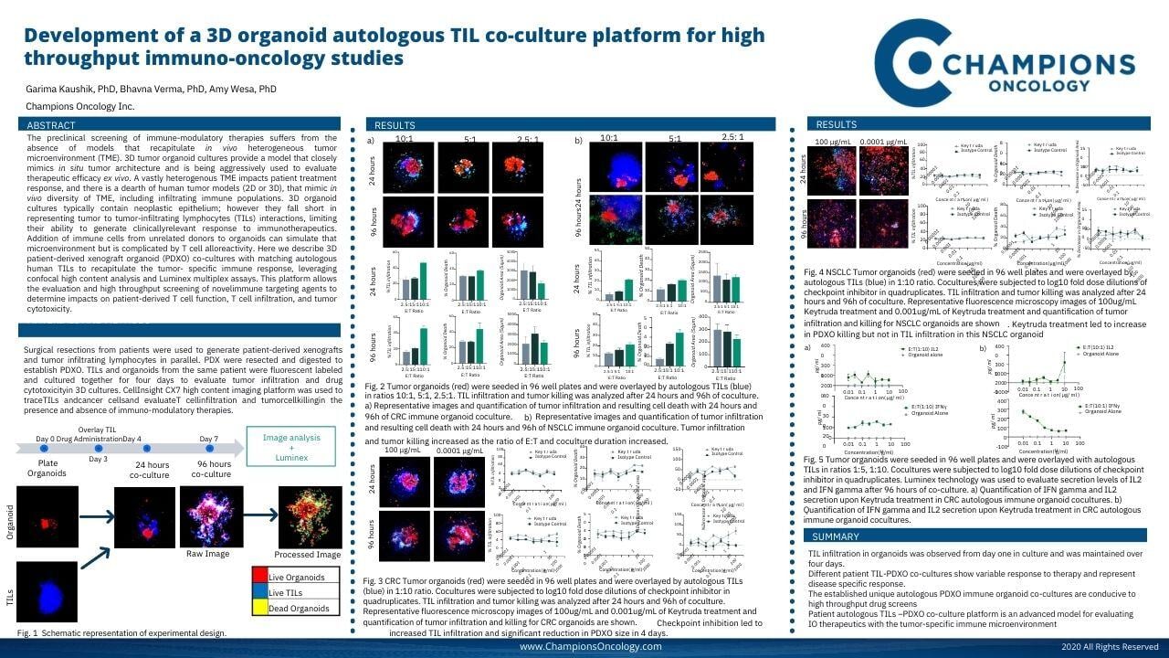 SITC 2021_3D co-culture platform reveal insights into patient autologous immune cell-tumor interaction and immune modulation in vitro.pdf (1)