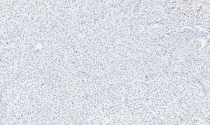 histology