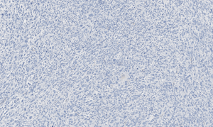 histology