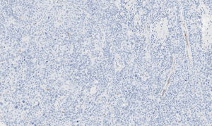 histology