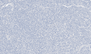 histology