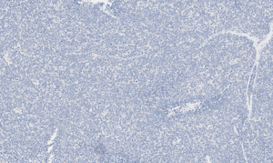 histology