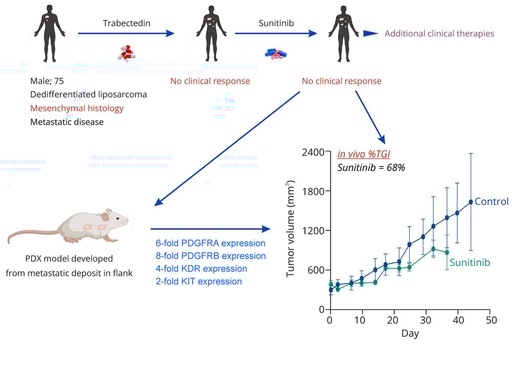 Sarcoma_in vivo correlation_CTG-0910 v3 Sarcoma_in vivo correlation_CTG-0910 v3