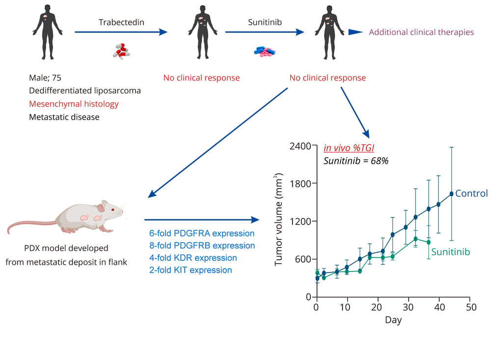 Sarcoma_in vivo correlation_CTG-0910 v3