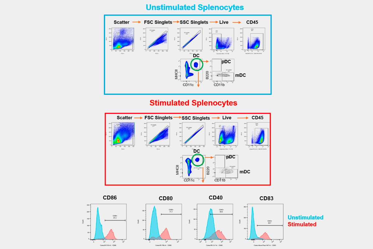 preclinical flow cytometry results in muring splenocytes.