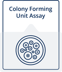 Colony