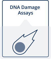 DNA