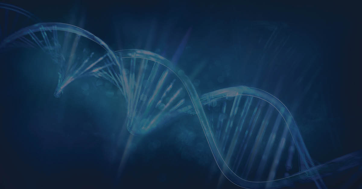 A DNA stand involved in Next Generation Sequencing