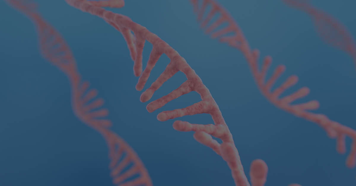 DNA is being detected using quantitative PCR