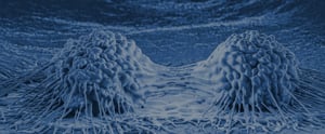microspect-imaging