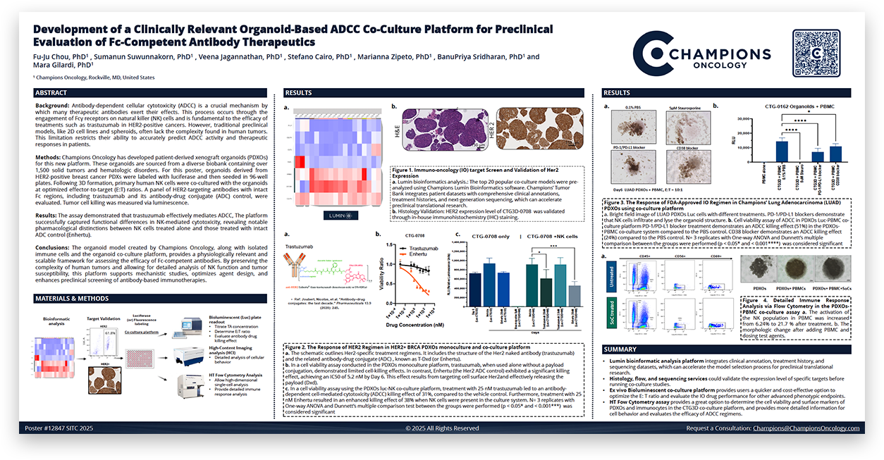 sitc-poster-thumb-12847