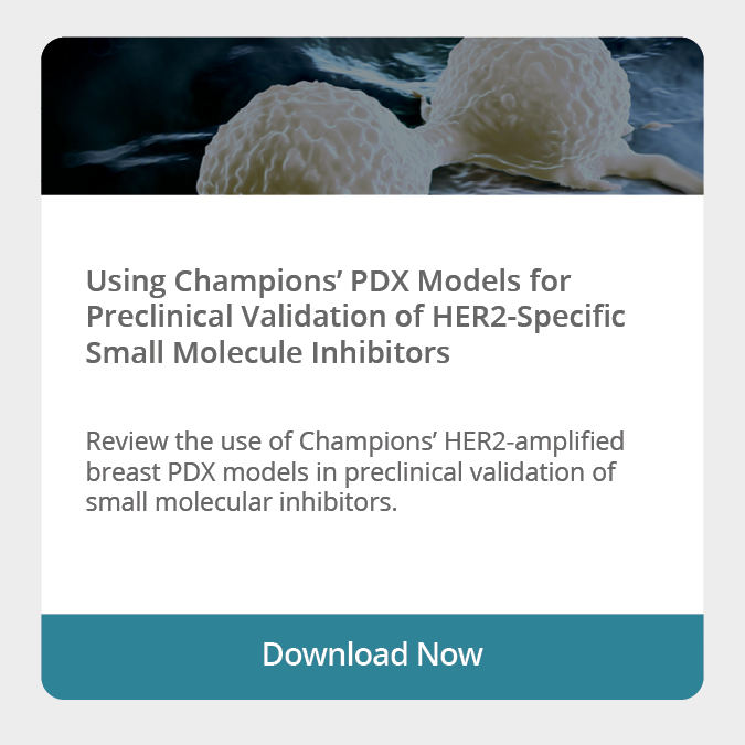 A Case study showing PDX model validation in Her2 mutated models.