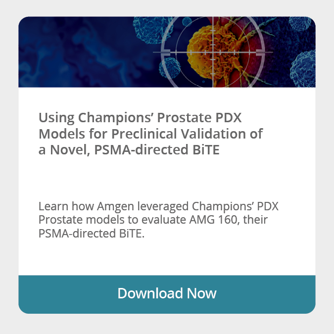 A Case study using a BiTE therapy in partnership with Amgen.