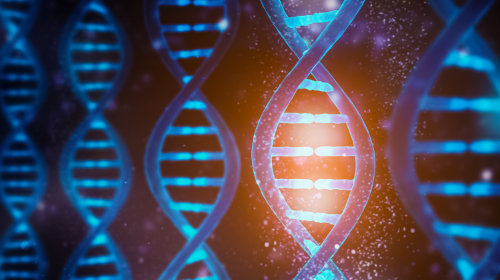 DNA-1