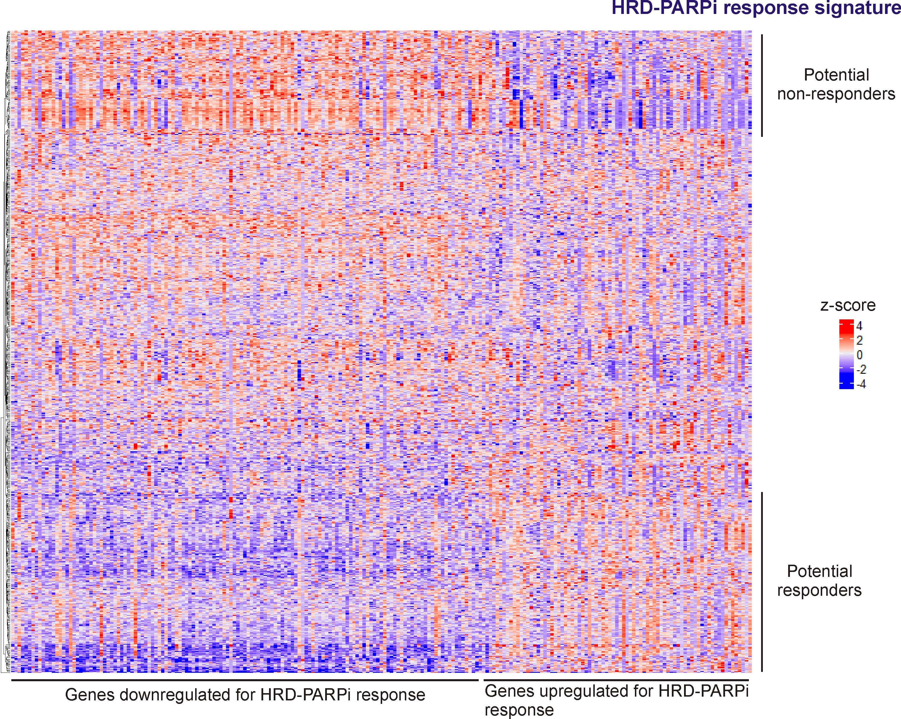 HRD-PARPi response signature HRD-PARPi response signature