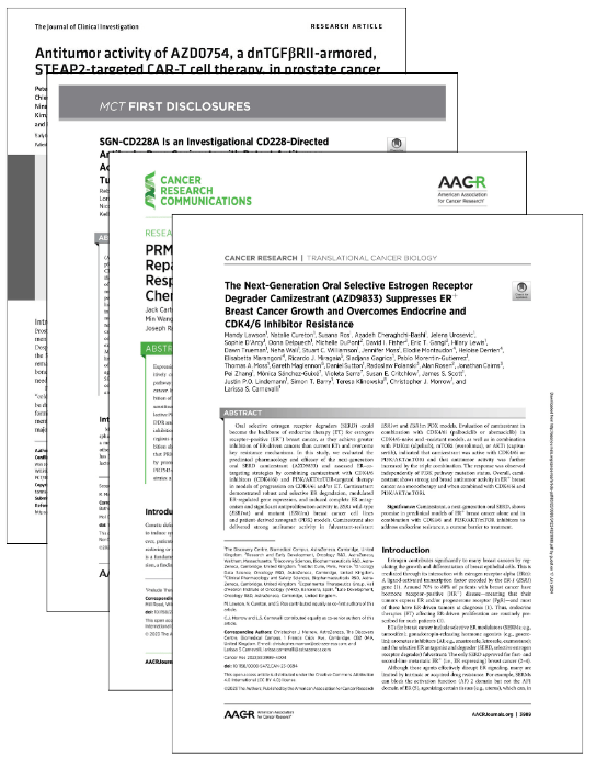 Untitled (100 x 100 px) (100 x 700 px)