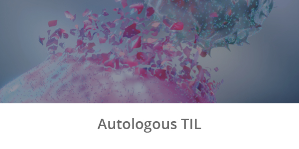 Research Platforms_Autologous TIL