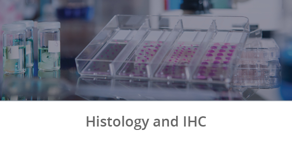 Research Platforms_Histology IHC